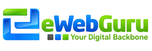 eWebGuru Adds 50 NVMe Servers With 110 TB of Mirrored Storage in Delhi NCR and Mumbai